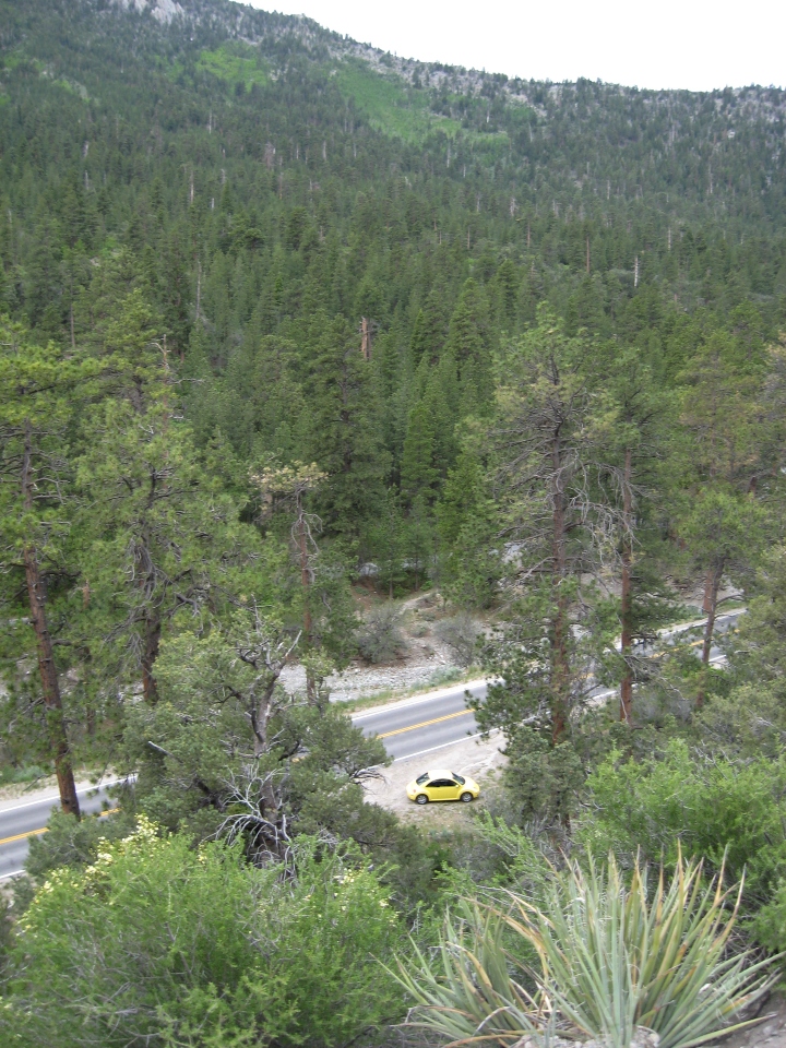 Mount Charleston